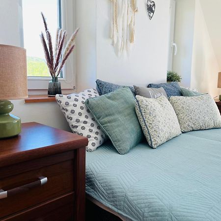 Apartman Karlovice Karlovice  외부 사진